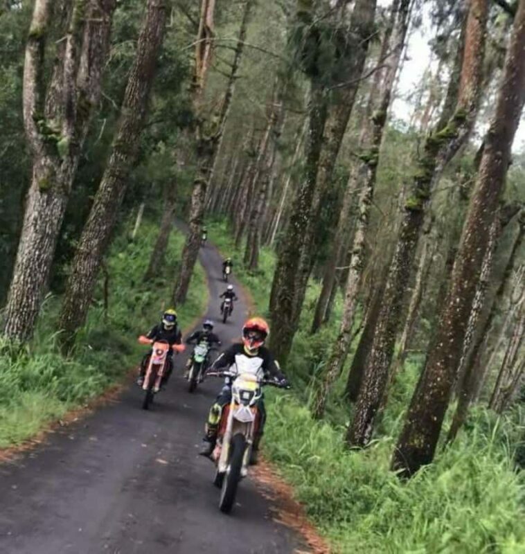 Bali: Mount Batur Full Day Dirt Bike Tours - The Sum Up