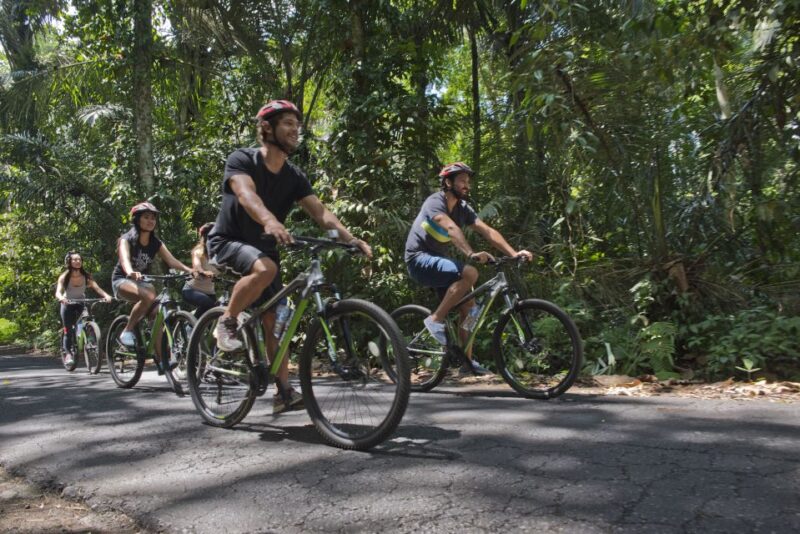 Bali: Mount Batur Mountain Biking Adventure With Lunch - Group Size and Languages