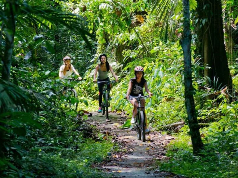 Bali: Mount Batur Mountain Biking Adventure With Lunch - Pickup Locations