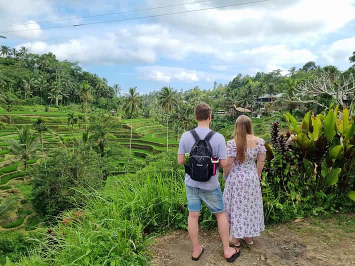 Bali: Multi-Day Customizable Private Tour With Driver-Guide - Experience and Itinerary