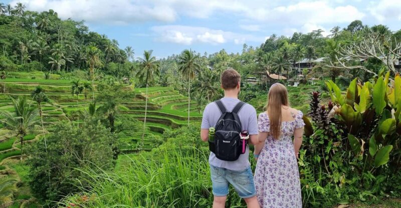 Bali: Multi-Day Customizable Private Tour With Driver-Guide - Tour Inclusions