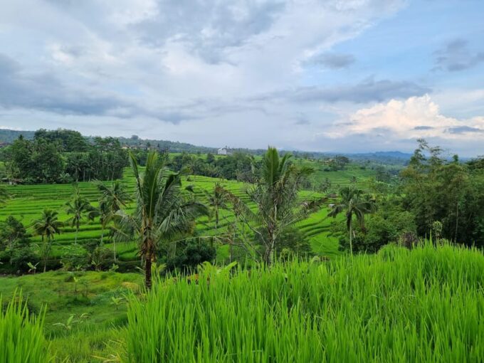 Bali: Multi-Day Customizable Private Tour With Driver-Guide - Frequently Asked Questions