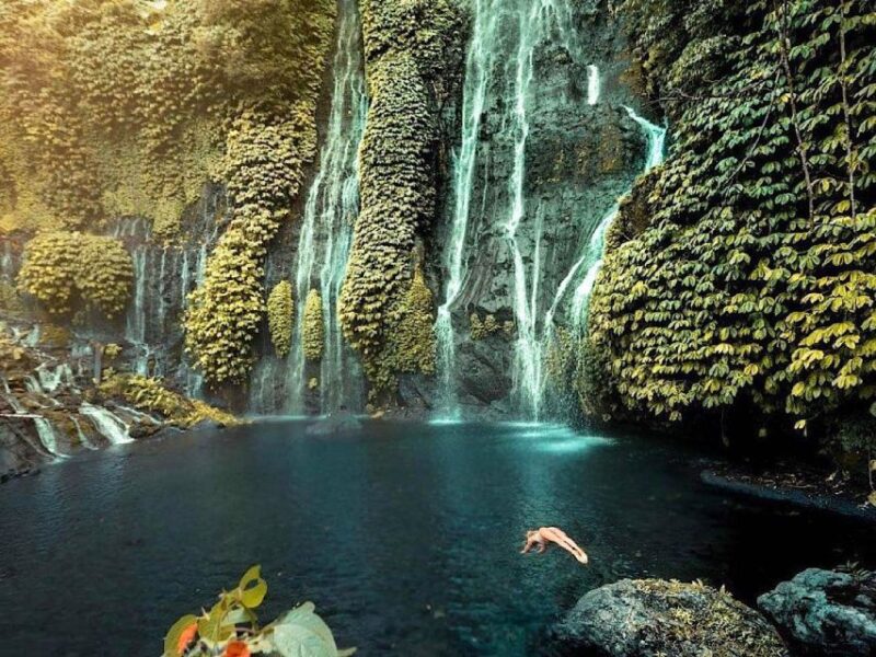 Bali / Munduk : Bali Costumized Private Full Day Tours - Important Information
