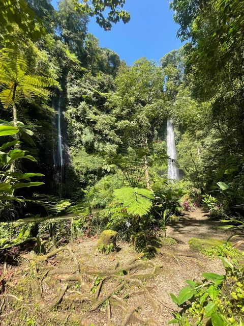 Bali/Munduk : Explore Three Different Hidden Gem Waterfalls - Included Services