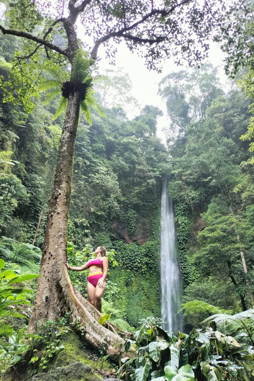 Bali/Munduk: Secrets Waterfalls Trekking " - Itinerary and Highlights