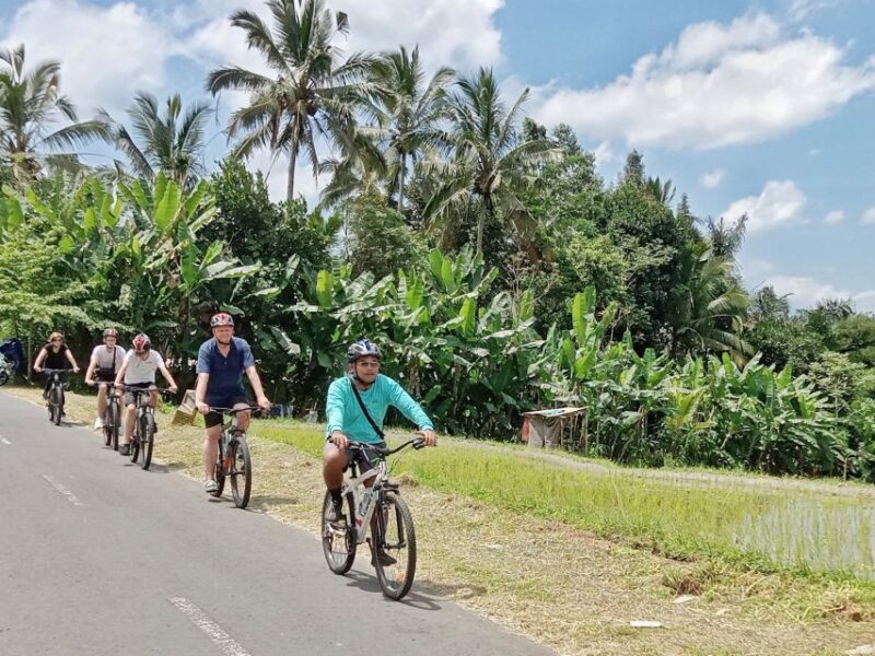 Bali Natural Downhill Cycling Tour and Visit Batur Volcano - Itinerary Highlights