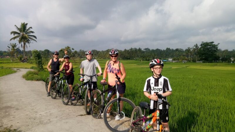 Bali Natural Downhill Cycling Tour and Visit Batur Volcano - Experience Description