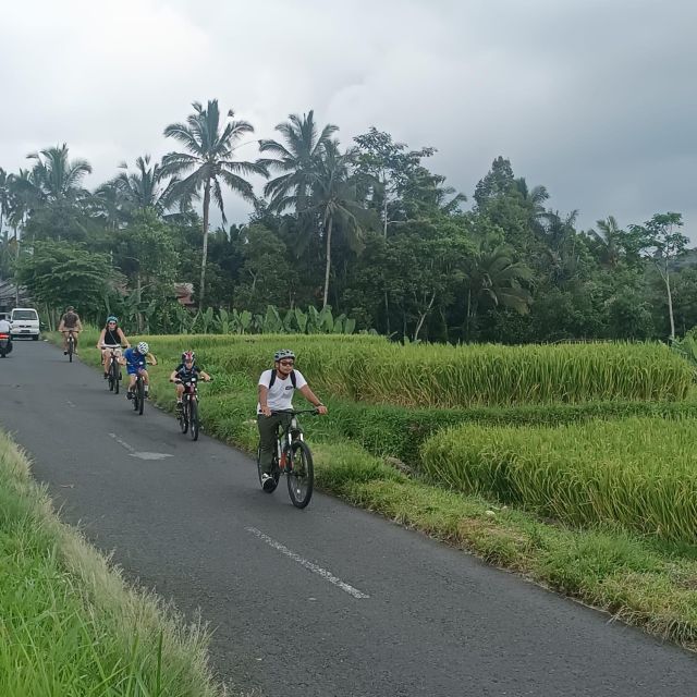Bali Natural Downhill Cycling Tour and Visit Batur Volcano - Included Services