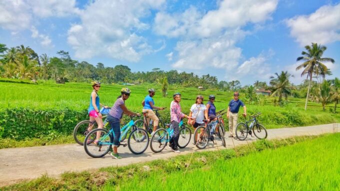 Bali Natural Downhill Cycling Tour and Visit Batur Volcano - Coffee Plantation