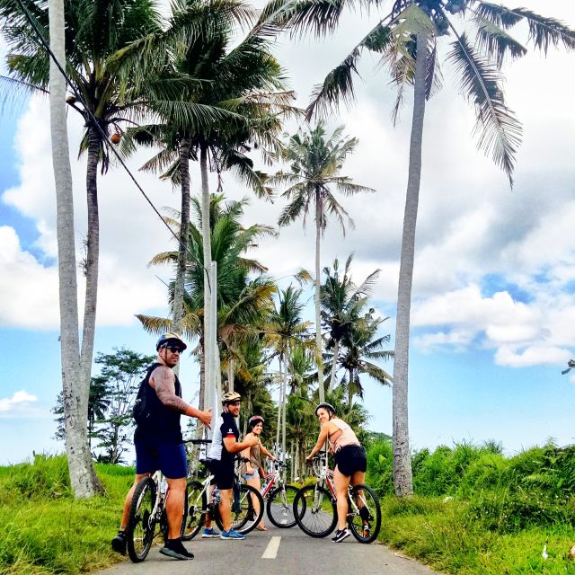 Bali Natural Downhill Cycling Tour and Visit Batur Volcano - Batur Volcano