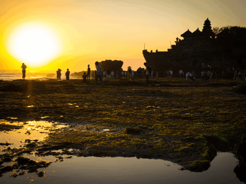 Bali: Nature Temple Tour With Sunset Magic Experience - Inclusions and Exclusions