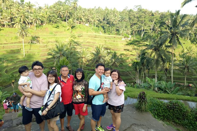 Bali Night Market Experience and Ubud Highlights Tour - Key Points