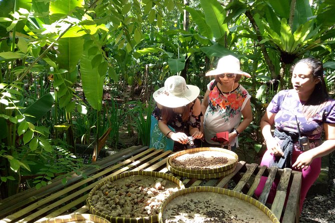 Bali Night Market Experience and Ubud Highlights Tour - Reviews and Customer Feedback