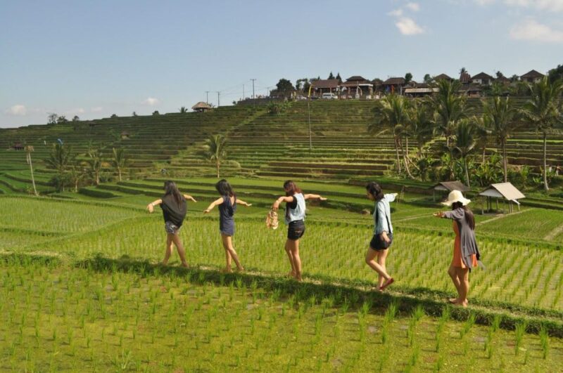 Bali: North Island Private Day Tour With Banyumala Waterfall - Itinerary Highlights