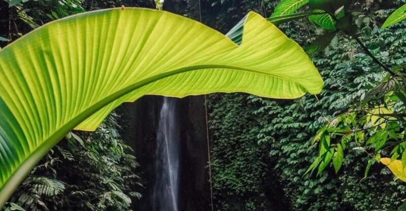 Bali: Northern Bali Private Day Trip With Hotel Transfers - Itinerary Highlights