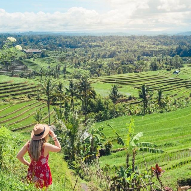 Bali: Northern Bali Private Day Trip With Hotel Transfers - Pickup and Drop-off Options