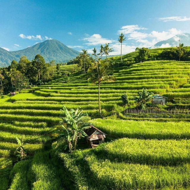 Bali: Northern Bali Private Day Trip With Hotel Transfers - Vehicle and Guide Details