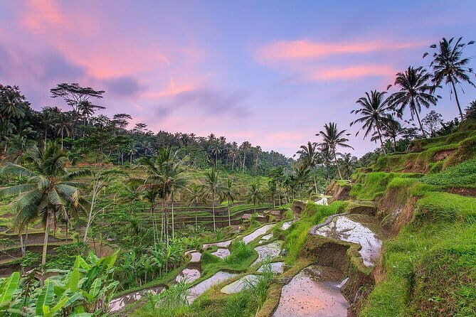 Bali : Northern Bali Private Day Trip with Transfer - Who Should Consider This Tour?