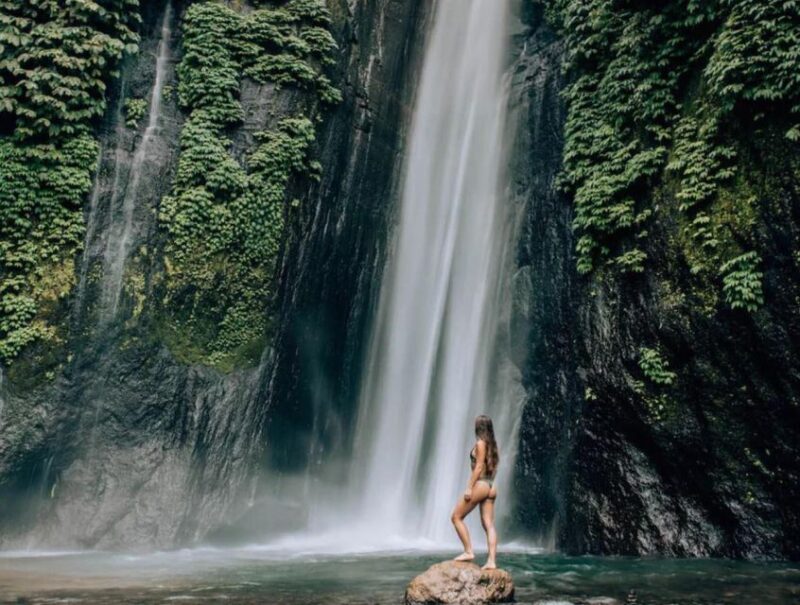 Bali Northern Best Waterfalls Tour - Inclusions and Exclusions