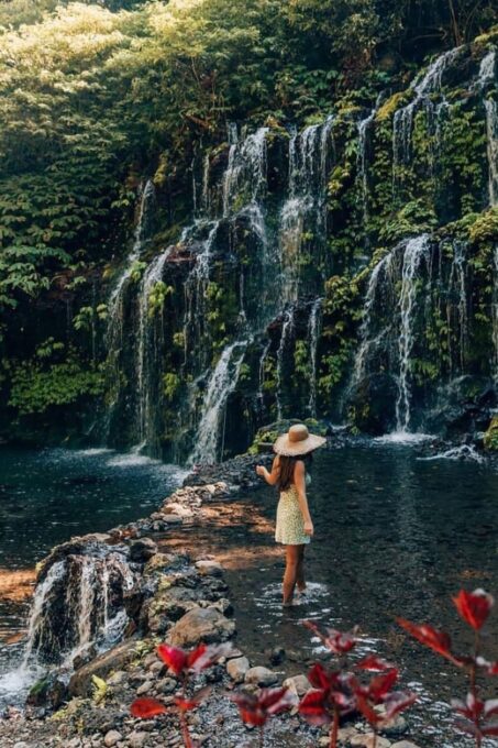 Bali Northern Best Waterfalls Tour - Immersive Waterfall Adventures