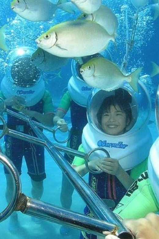 Bali Nusa Dua Sea Walker With Private Transfer - Key Points