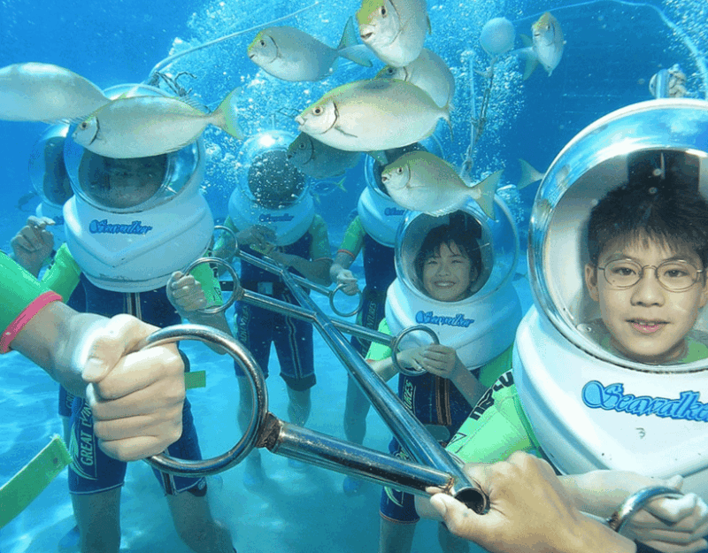 Bali Nusa Dua Sea Walker With Private Transfer - Safety and Equipment