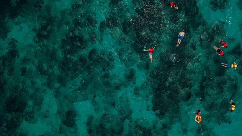 Bali/Nusa Dua: Snorkeling, Glass Boat Ride & Turtle Center - Starting Point and Logistics
