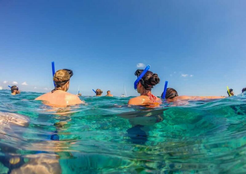 Bali/Nusa Dua: Snorkeling, Glass Boat Ride & Turtle Center - Glass-Bottom Boat Ride