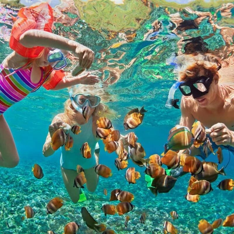 Bali/Nusa Dua: Snorkeling, Glass Boat Ride & Turtle Center - Turtle Island Visit