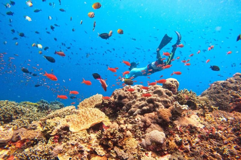 Bali: Nusa Lembongan Snorkeling and Day Trip All Inclusive - Key Points