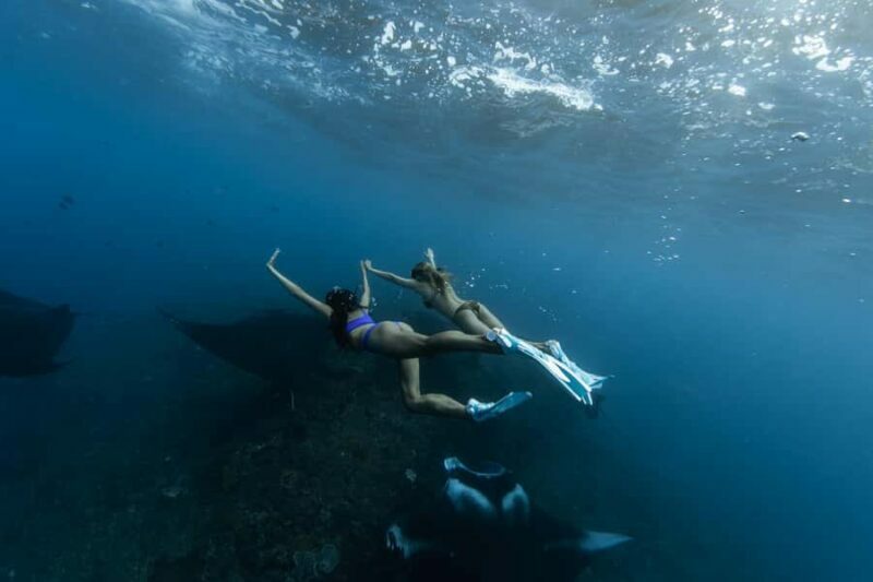 Bali: Nusa Penida by Premium Yacht, Manta Rays, Land Tour - Key Points