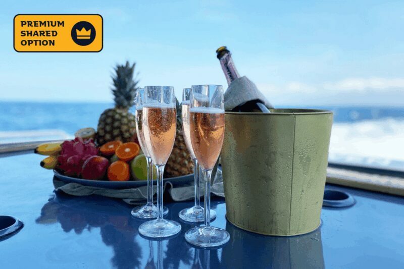 Bali: Nusa Penida by Premium Yacht, Manta Rays, Land Tour - Manta Rays and Other Marine Encounters