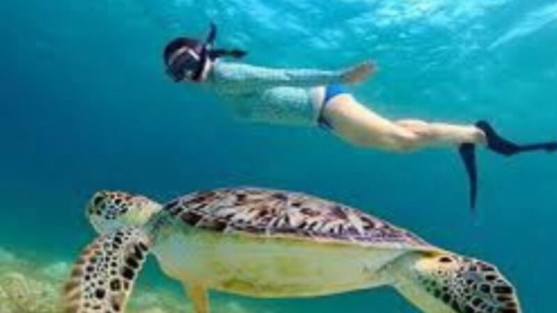 Bali: Nusa Penida Day Tour With Snorkeling, Pickup, & Lunch - Key Points