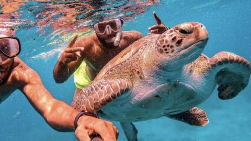 Bali: Nusa Penida Day Tour With Snorkeling, Pickup, & Lunch - Important Information