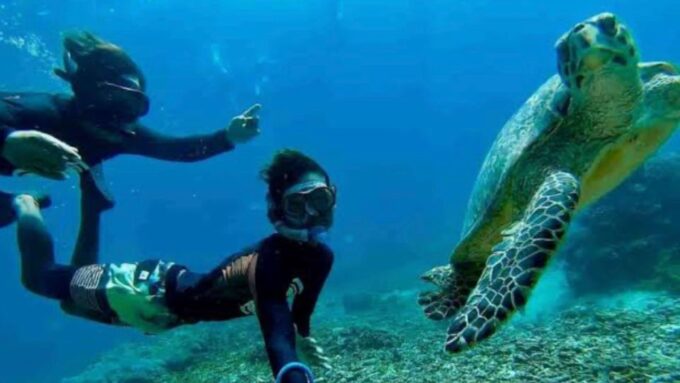 Bali: Nusa Penida Day Tour With Snorkeling, Pickup, & Lunch - Customer Feedback
