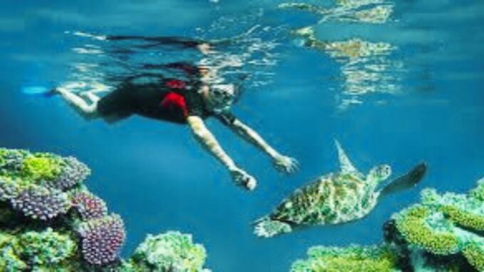 Bali: Nusa Penida Day Tour With Snorkeling, Pickup, & Lunch - Frequently Asked Questions