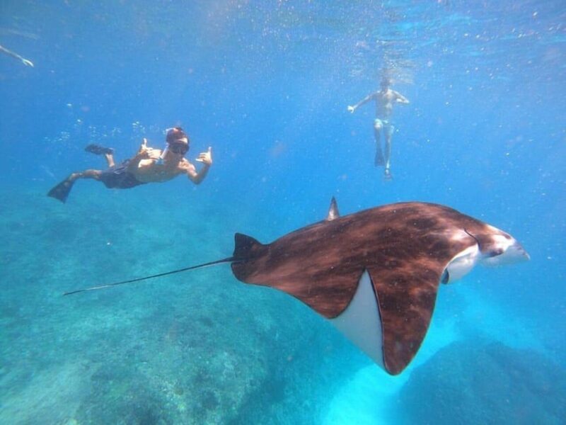 Bali : Nusa Penida Excursion Tour to See Manta Rays by Boat - Key Points