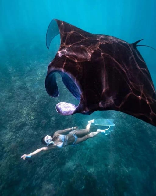 Bali : Nusa Penida Excursion Tour to See Manta Rays by Boat - Inclusions and Essentials