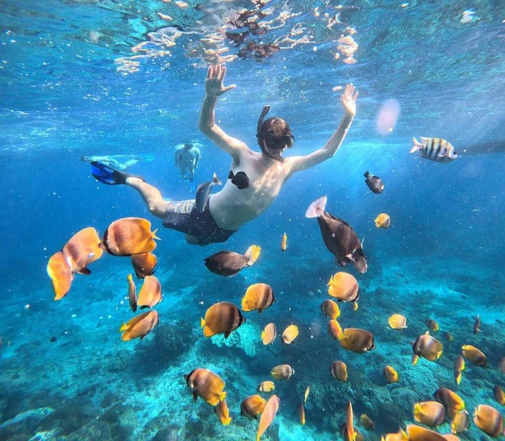 Bali : Nusa Penida Excursion Tour to See Manta Rays by Boat - Pickup and Transportation
