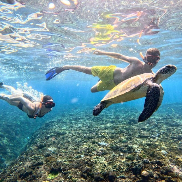 Bali : Nusa Penida Excursion Tour to See Manta Rays by Boat - Snorkeling Destinations
