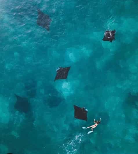 Bali : Nusa Penida Excursion Tour to See Manta Rays by Boat - Sightseeing Locations