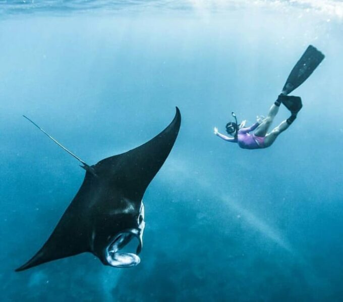 Bali : Nusa Penida Excursion Tour to See Manta Rays by Boat - Important Considerations