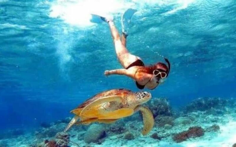 Bali: Nusa Penida Full-Day Trip with Snorkeling - Key Points