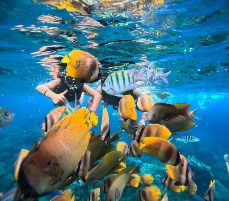 Bali: Nusa Penida Full-Day Trip with Snorkeling - A Closer Look at the Itinerary and Experience