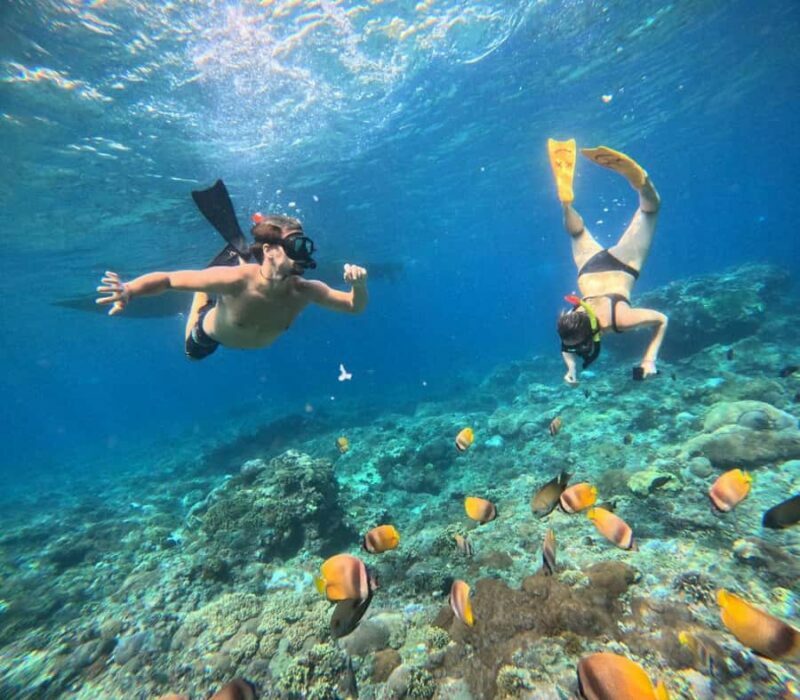 Bali: Nusa Penida Full-Day Trip with Snorkeling - Frequently Asked Questions