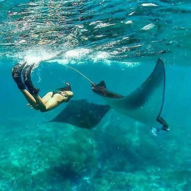 Bali - Nusa Penida Highlight Snorkeling and Land Tour - Key Points