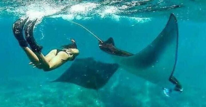 Bali - Nusa Penida Highlight Snorkeling and Land Tour - Itinerary Highlights