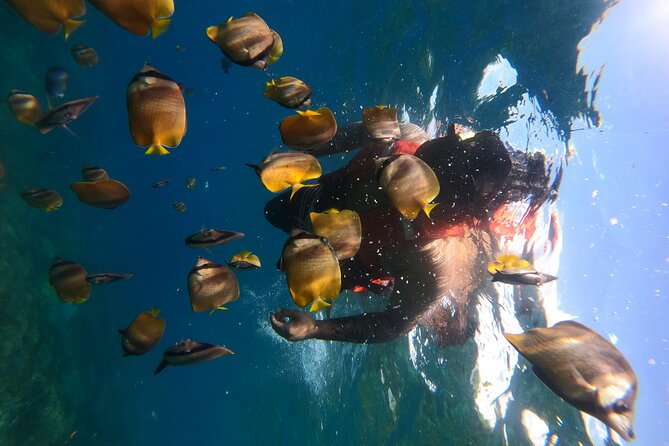 Bali Nusa Penida Land Tour and Private Snorkeling - All Inclusive - Good To Know