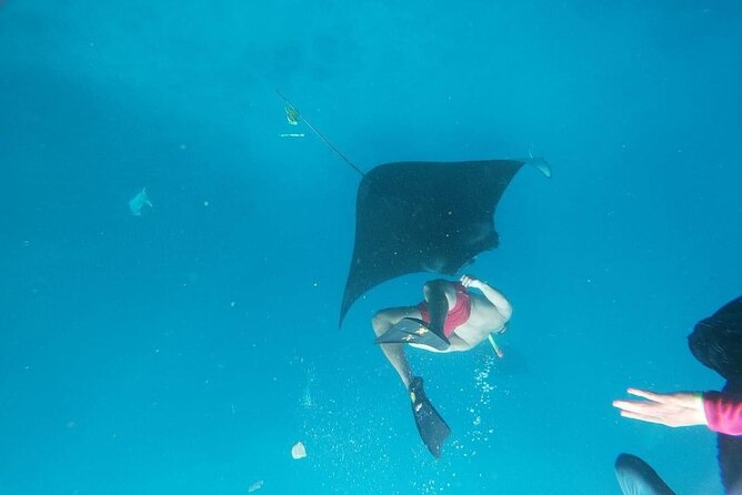 Bali Nusa Penida Land Tour and Private Snorkeling - All Inclusive - Snorkeling Adventure