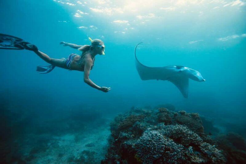 Bali/Nusa Penida: Manta Point Snorkel Boat & West Coast Tour - Key Points